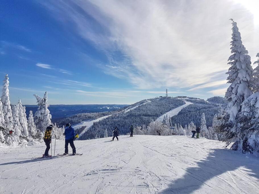 מונט טרמבלאנט Tremblant Chalet Walking Distance From Activities מראה חיצוני תמונה