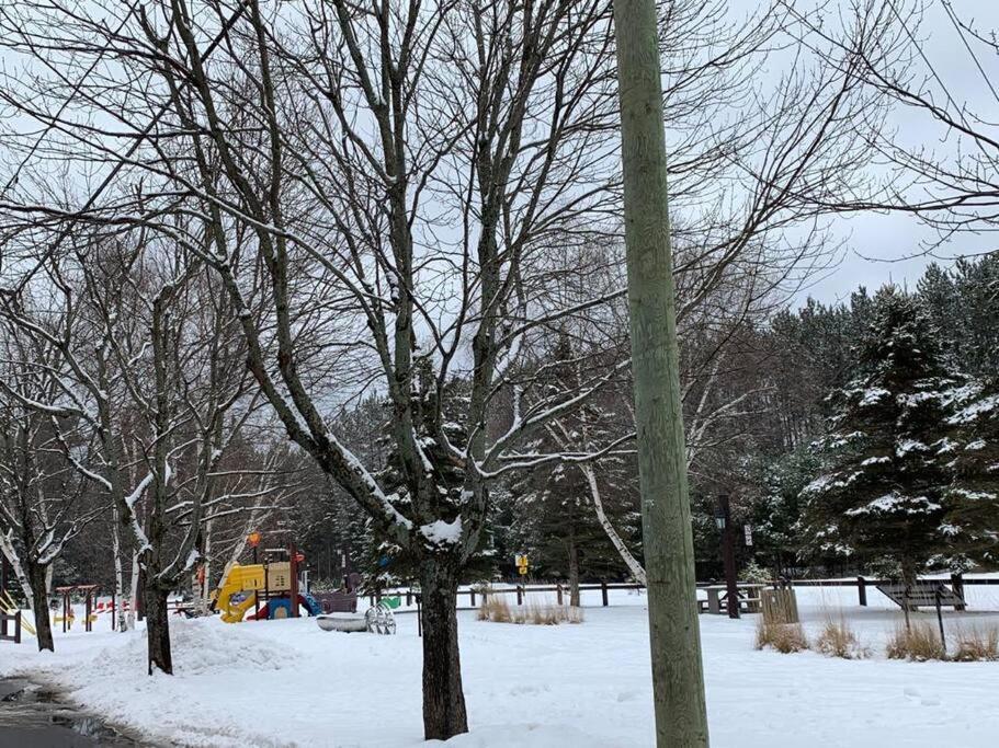 מונט טרמבלאנט Tremblant Chalet Walking Distance From Activities מראה חיצוני תמונה